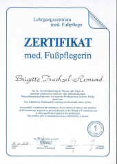 Zertmed.jpg (99766 Byte)
